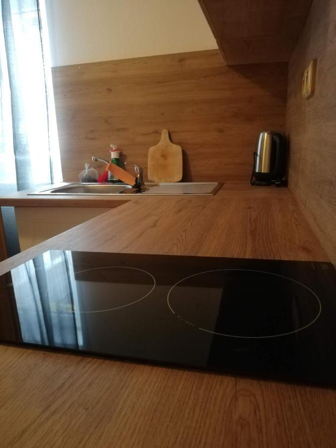 Penzion pod svahem Železná Ruda Esterno foto